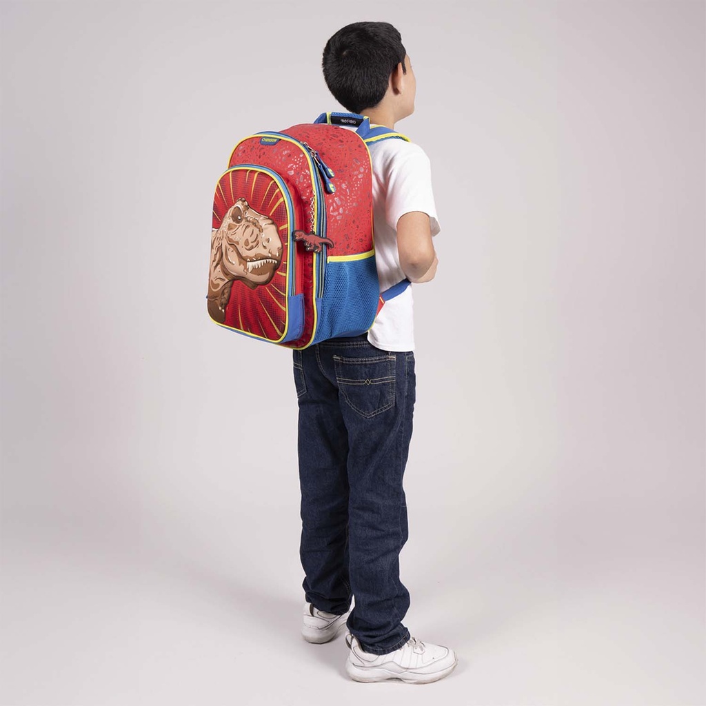 MOCHILA DE ESPALDA GRANDE