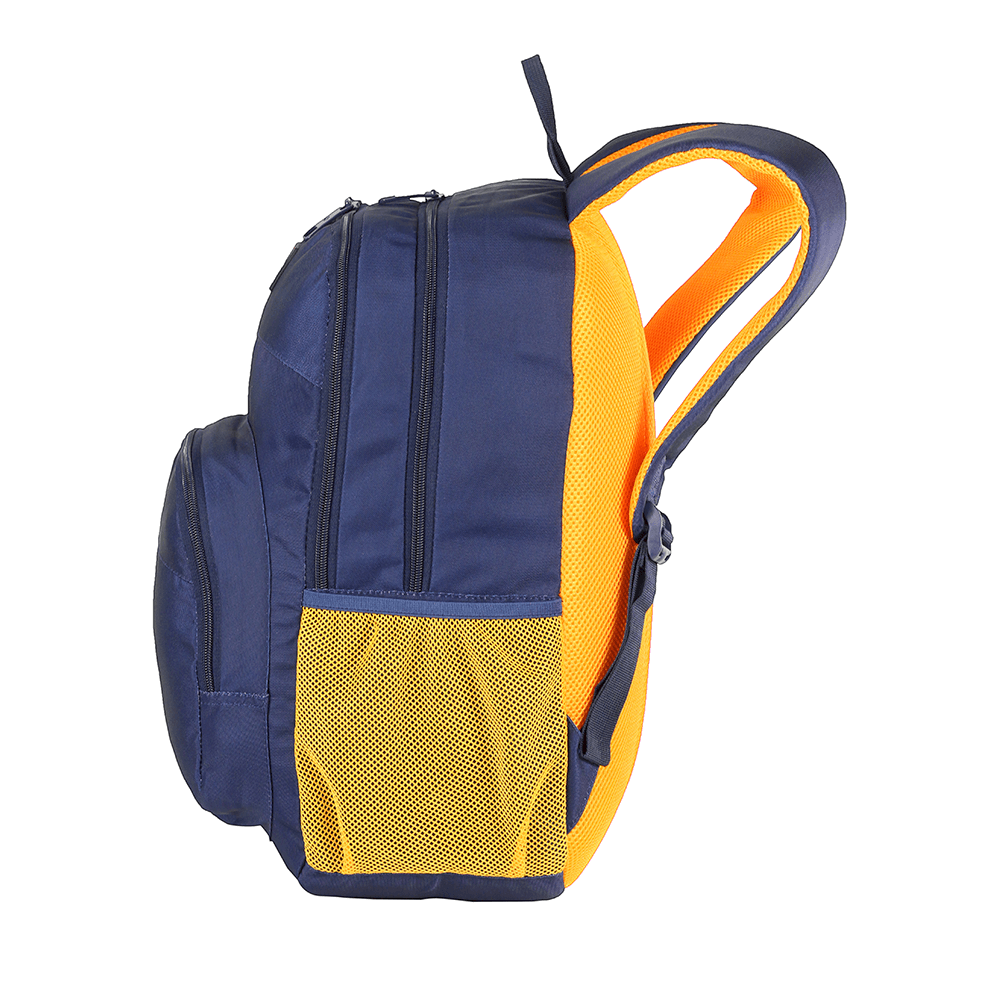 Mochila Samsonite Bison - Azul